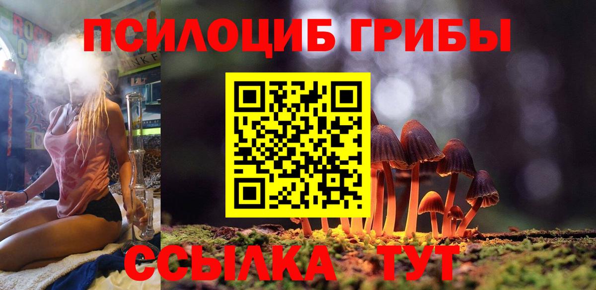 Кушва  Псилоцибиновые грибы MAGIC MUSHROOMS  Вход с VPN 